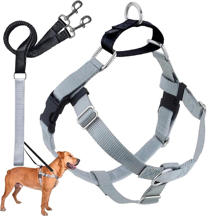 2 Hounds Design Freedom No Pull Dog Harness and Leash, 5/8" SM, Silver | Promotes Easy Walking & Comfortable Control, Secure Fit, Adjustable Harness and Leash Set for Small Sized Dogs, Made in USA