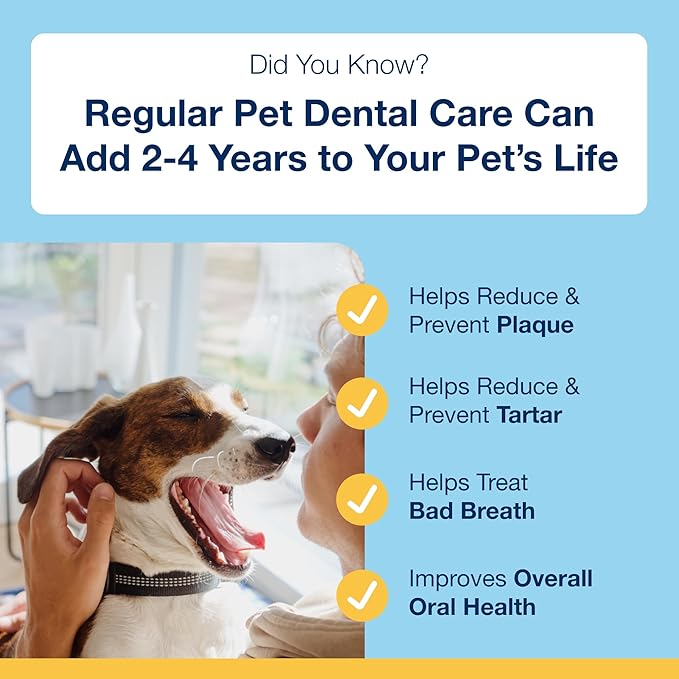 ProDen PlaqueOff Powder for Pets - Cat & Dog Breath Freshener - Plaque & Tartar Remover for Pet Oral Care - 60g (Pack of 2)
