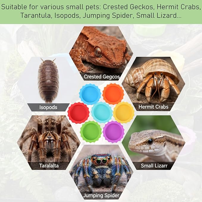 9 PCS Crested Gecko Food and Water Bowl Reusable Small Reptile Feeding Dish Gecko Tank Accessories for Hermit Crab Tarantula Isopods Lizard Easy Clean Silicone 7 Colors Includes Spoon