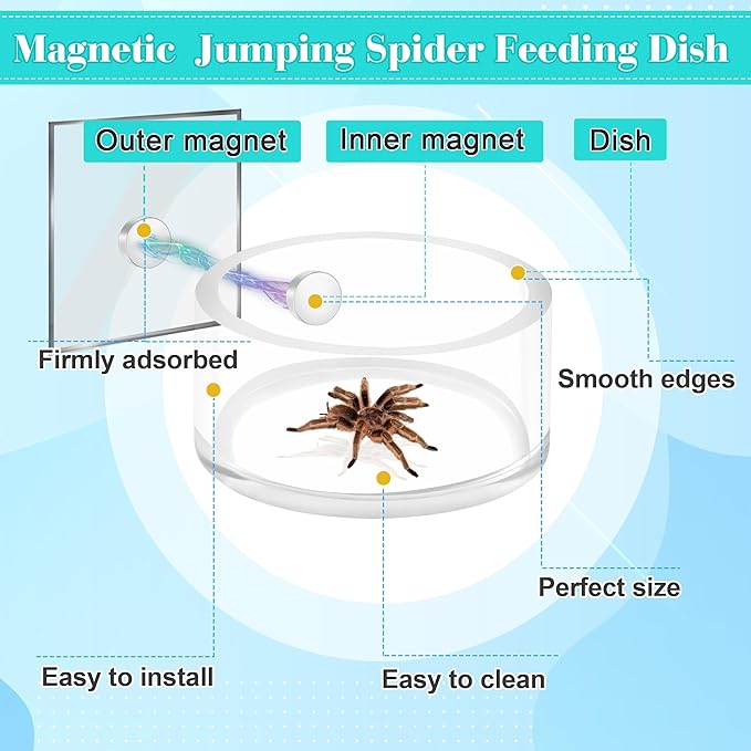 2+2 PCS Jumping Spider Magnetic Feeding Dish with Dropper & Tweezer, Magnetic Water Bowl, Reptile Feeding Tongs, Tiny Food Dishes Water Dish for Jumping Spider, Tarantula&Other Small Pets-Coldairsoap