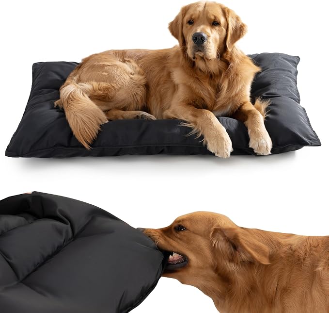 Chew Proof Indestructible Dog Bed,X-Small (17"x23") | Durable,for Aggressive Chewers,Tough,chew resistant, non chewable,Machine Washable & Waterproof,Indoor Outdoor