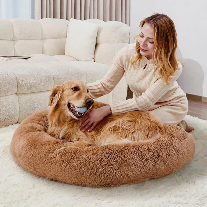 Cat Beds for Indoor Cats, Washable 20" Donut Pet Bed for Small Dogs | Fluffy pet bed with cozy plush comfort and supportive raised sides, perfect for lounging, napping and relaxing indoors.