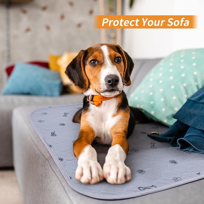 Washable Pee Pads for Dogs, 2Pack Puppy Pads Washable with Bone Print,Absorbent Reusable Whelping Pads Non-Slip Dog Mats for Floor Protector, Couch Cover, Crate, Potty Training 31x36 | Reusable, Waterproof, Machine Washable Dog Pads for Whelping, Potty...