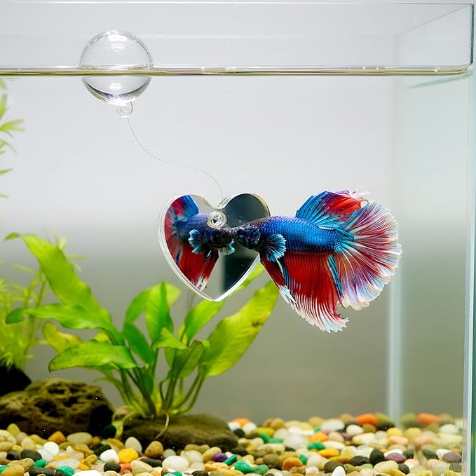 Betta Fish Exercise Ring and Betta Mirror Set, Heart Floating Exercise Mirrors, Betta Ring Enrichment Toys, Betta Fish Toys for Fish Tank, Betta Tank, Aquarium Accessories