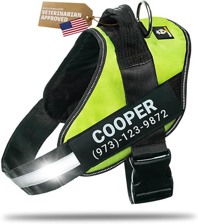 Personalized Dog Harness with Custom Name Patches, Adjustable Reflective No Choke Dog Vest with Handle for Small Dogs and Growing Puppy, Green, XS