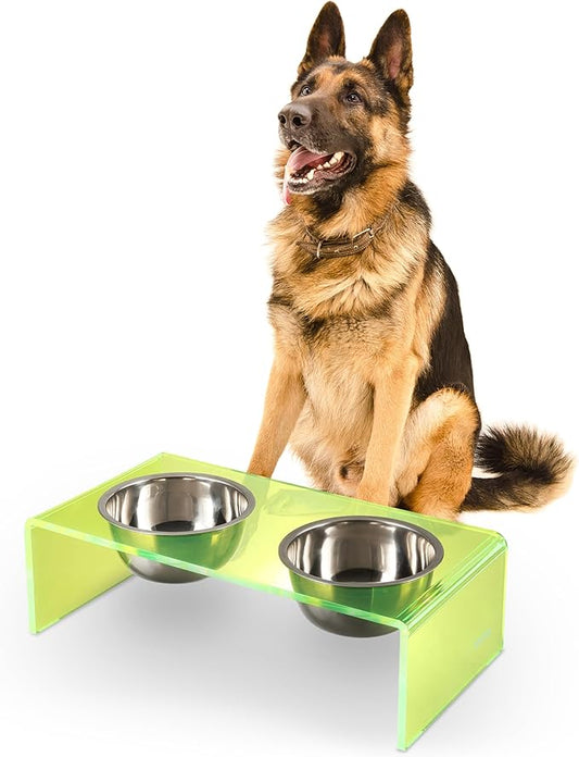 DBL2001G Keaton 7.5" Medium/Large Modern Acrylic Rectangular Elevated Pet Feeder with 54oz 2-Stainless Steel Bowls, Green/Chrome
