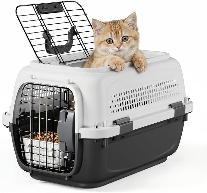 19.5" Hard-Sided Pet Carrier for Small Dogs & Cats, Plastic Cat Carriers | Front & Top Door Access, Ventilation Design, Feeding Bowl Included, for Camping & Trips, for Small Pets up to 20 lbs, Gray