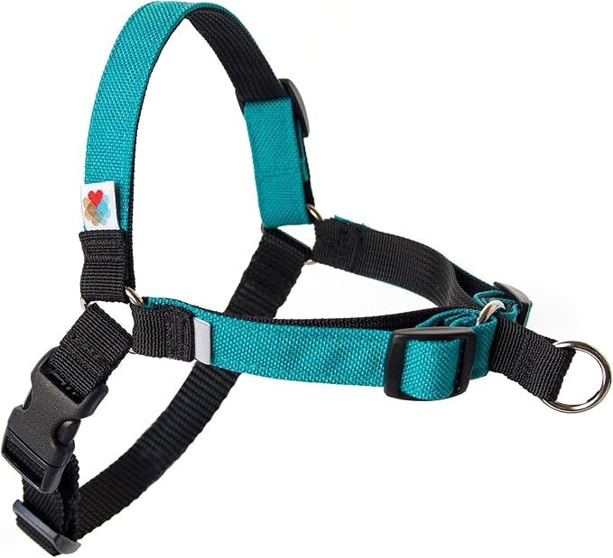 No Pull Dog Harness | Comfortable Training Harnesses | Effective No Pull Harness Design | Ideal for Small Dog and Puppy | 4-Point Adjustable (S -18~24 inch Girth, Turquoise)