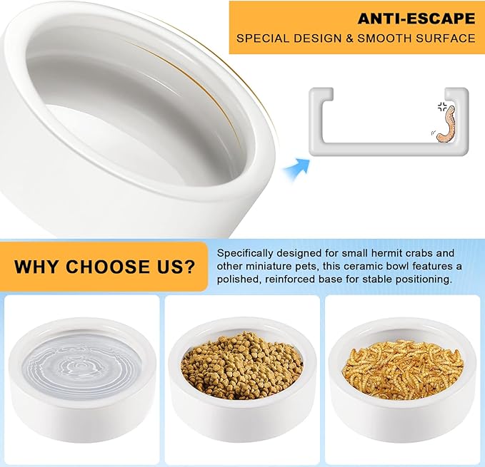 Eiito Reptile Food Bowl,Hermit Crab Lizard Gecko Ceramic Food Dish, 7 Compartments Anti-Turning Bearded Dragon Food & Water Bowl with Small Brush (White)