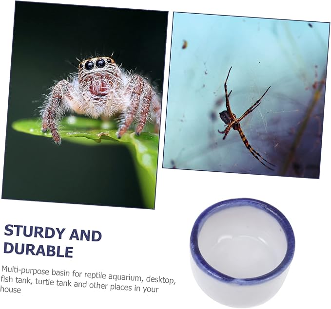 UKCOCO 36 Pcs Basin Mini Resin Animals Tarantula Enclosure Drink Containers Reptile Water Bowl Ceramic Pet Bowls Hamster Food and Water Bowl Mini Ceramic Bowl for Pet Water Feeder Sink