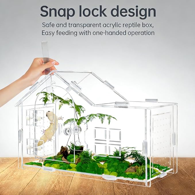 Jumping Spider Enclosure, Acrylic Habitat with Secure Feeding Port & Ventilation - Ideal Treehouse for Arboreal Spiders, Easy-Clean Terrarium for Pet Tarantulas, Mantises, and Small Invertebrates (1)