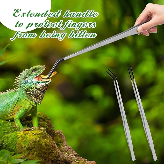 Lasnten 2 Pcs Extra Long Stainless Steel Reptile Feeding Tongs with Rubber Tip 18.5 Inch, 18.9 Inch Bearded Dragon Aquarium Straight and Curved Long Tweezer Terrarium Feeder Tool for Tank(Silver)