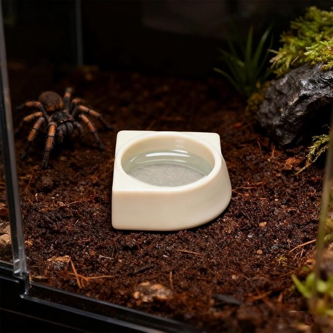 1 Pack Spider Micro Water Bowl Mini Tarantula Water Dish for Millipede Spiders Gecko Lizard Tiny Reptile Jumping Spider Enclosure Accessories (Small: 2.48" D) Cream White