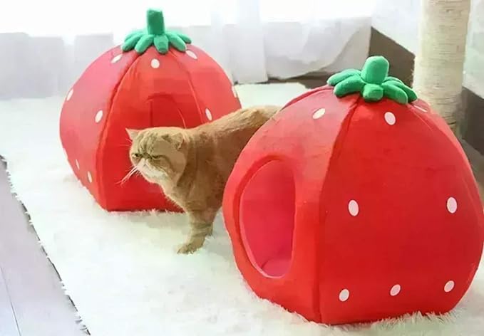 YML Strawberry Pet Bed House for Cats, Dogs, Kittens, Puppies, Rabbits, Medium, Red
