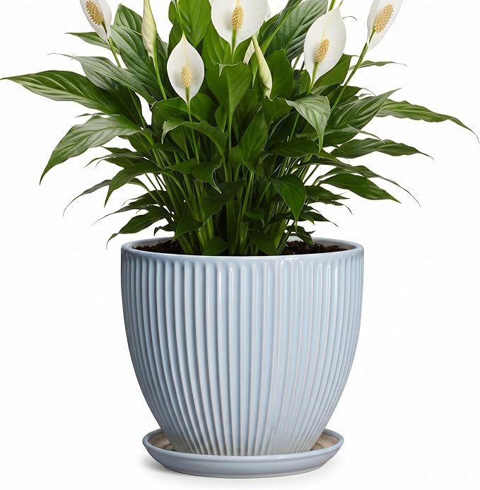 8 Inch Plant Pot Indoor, Ceramic Flower Pots with Drainage Hole and Saucer, Round Plant Pot for Indoor House Plants, Modern Plant Pot Indoor, Office Home Decor, House Warming Gifts, Light Blue