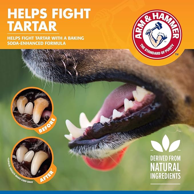 Arm & Hammer Clinical Care Dental Rinse for Adult Dogs, Odorless Flavorless No Taste Water Additive for Dog Dental Care, Helps Reduce Tartar & Freshen Breath, 16 Fl Oz - 2 Pack