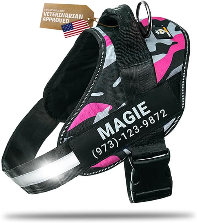 Personalized Dog Harness with Custom Name Patches, Adjustable Reflective No Choke Dog Vest with Handle for Small Dogs and Growing Puppy, Camouflage Pink, XS