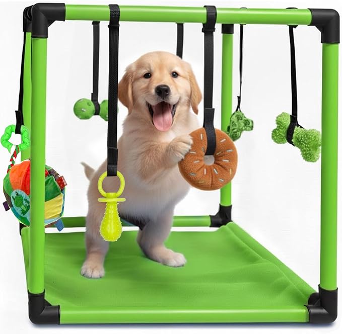 Race&Herd 19.5" Puppy Play Gym — Small Dog Jungle Activity Mat (Lime) | Dog Play Mat with 8 Bungee Straps, Interactive Puppy Active Toys — Indoor Enrichment Playground Set