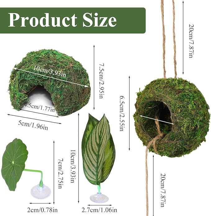 Big Jumping Spider Hide Kit, Jumping Spider Enclosures Habitat Accessories, Climbing Spiders Resting Hideout with Suction Cup Rope Bridge Leaf Ledge for Tarantula Small Insects