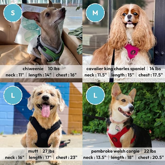 Gooby Escape Free Sport Dog Harness, Choke-Free, Lime, Medium | Patented escape-free frame; Reduces choking; 4-point adjustment; Soft neoprene padding; Durable webbed straps