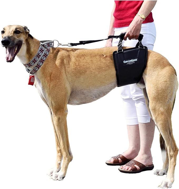 Dog Support Harness, Rear End Lift Sling, Tall Male, Made in USA | Fits Tall, Lean Dogs like Greyhounds or Great Danes, Padded Mobility Aid, Help Pets Walk or Balance, Machine Wash & Dry