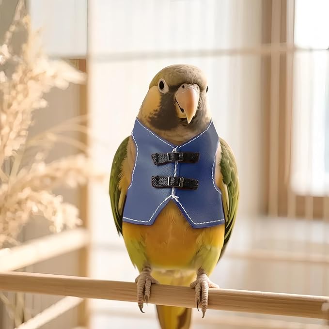 Bird Clothes, Parrot Leather Jacket, Cute Bird Costume Cosplay Photo Prop, Parrot Apparel for Eclectus, Budgerigar, African Greys Parakeet, Conure, Cockatiel, Love Birds-Cowboy Style,Blue,S