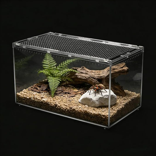 12x8x6 Inch Terrarium with Magnetic Top Sliding Lid, Clear View Critter Keeper & Spider Enclosure, Jumping Spider/Tarantula Habitat, Hermit Crab Tank, Tadpole to Frog Kit