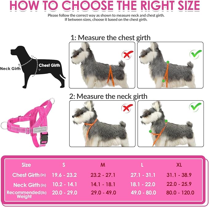 SlowTon No Pull Dog Harness with Front Clip - Heavy Duty, Soft Padded | Neck & Chest Adjustable, Tactical Pet Vest and Leash Set for Large Medium Sized Dogs, for Easy Walk & Training, Fuchsia M