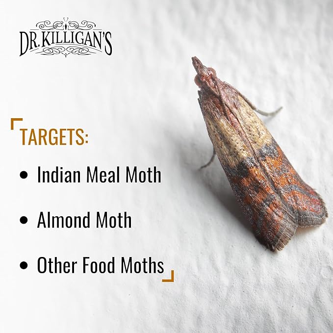 Dr. Killigan's Premium Double Potent Pantry Moth Traps with Pheromones Prime, Sticky Indian Meal Moth Traps for Kitchen, How to Get Rid of Moths in House (20 Pack, Black)