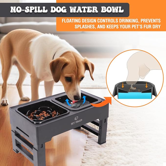 Elevated Dog Bowls with Collapsible Scoop, Slow Feeder Dog Bowls & No-Spill Water Bowl, Raised Dog Bowl Stand 4 Adjustable Heights for Small, Medium & Large Dogs