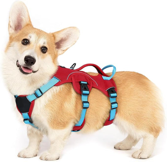 rabbitgoo Escape Proof Dog Harness for Small, No Pull with Lift Handle | No Escape, Full Soft Padded, Reflective Adjustable Vest, Leash Clip for Walking Hiking Training, Sky Blue & Red, Small