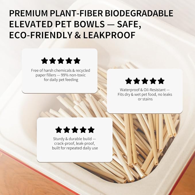 Cool Kids Elevated Cat Bowls – Raised Slanted Eco Fiber Disposable Set | Food-Grade Degradable Fiber, Cat Bowls for Small Dogs, Disposable No-Clean, Fits Camping & Travel, Multi-Pet & Stray Feeding