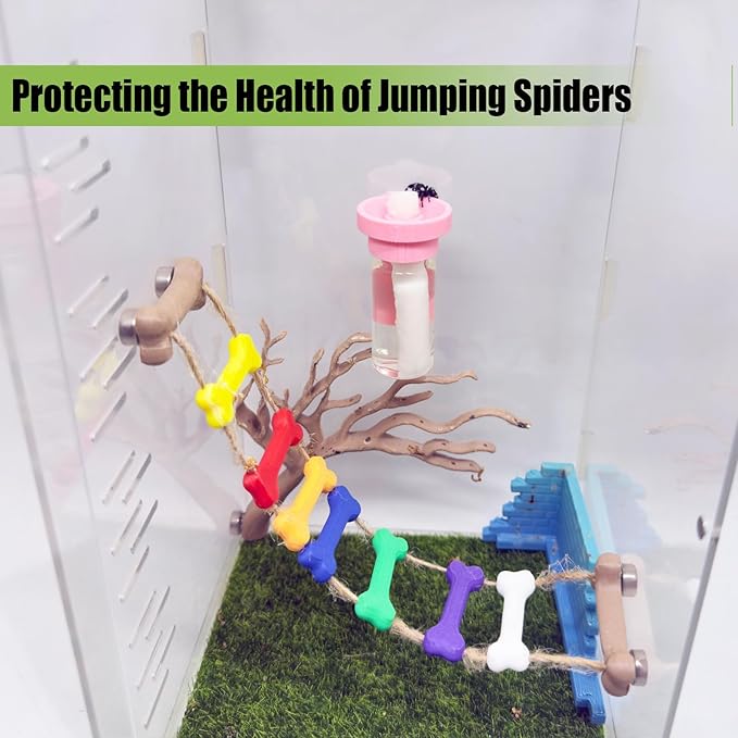 Jumping Spider Water Dispenser, Magnetic Hanging Feeder,Suitable for Jumping Spiders,Tarantulas, Praying Mantises,Arboreal Animals, and Other Small Animal Enclosure Accessories (Pink, 10ML)
