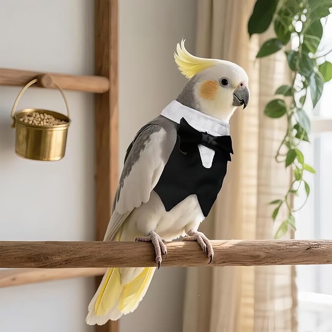 Bird Clothes, Parrot Tuxedo Costume, Flights Suits - Black Formal Outfit Bird Cosplay Photo Prop for Eclectus, Budgerigar, African Greys Parakeet, Conure, Cockatiel, Love Birds,S