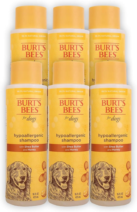 BURT'S BEES FOR PETS Hypoallergenic Dog Shampoo with Shea Butter and Honey, Gentle Fragrance Free Shampoo for Sensitive Dogs with 95% Natural Origin Skin and Coat Formula, 16 Fl Oz - 6 Pack