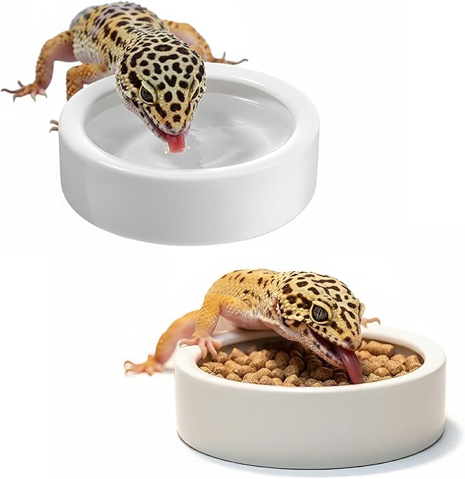Escape-Proof Reptile Food Dish Bowl, Ceramic Reptile Feeding Dish & Small Animal Bowl for Lizard, Leopard Gecko, Hermit Crab, Hamster, Anti Escape Live Food & Water Dish (3x1in) 2PCS