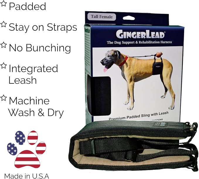 Dog Sling Hip Lift Support Harness, Tall Female, Made in USA | Fits Tall, Lean Dogs like Greyhounds or Great Danes, Padded Mobility Aid, Help Pets Walk or Balance, Machine Wash & Dry