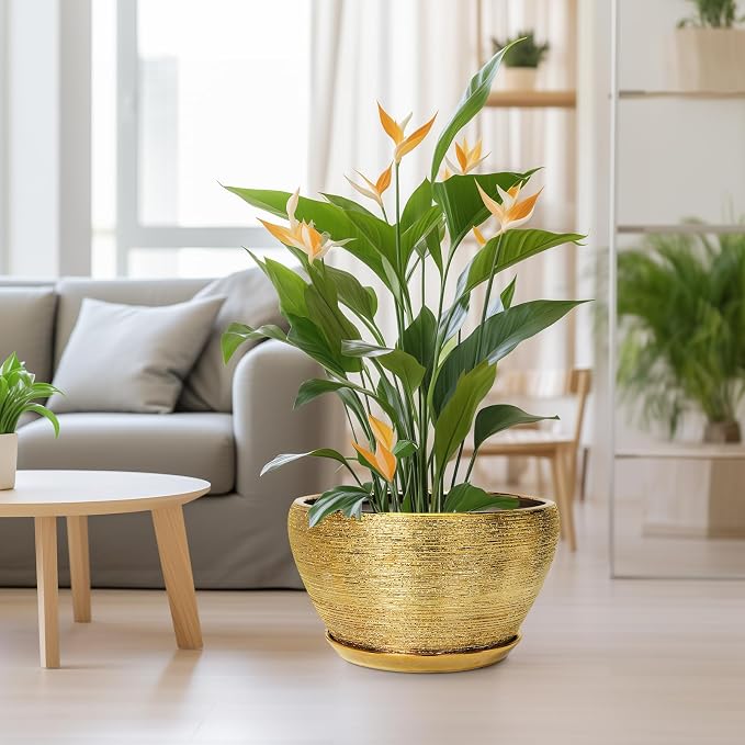 Ceramicfor Ceramic Planter 13 Inch - Indoor Plant Pot with Drainage Hole and Saucer Large Ceramic Pot for Plants Mid-Century Decorative Modern Outdoor Flower Pot for Home Decor Gold
