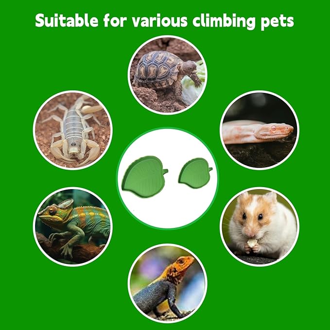 2pcs Leaf Reptile Food Water Bowl,Bowls Turtle Feeding Dishes,Tortoise Habitat Accessories Food and Water Feeder,for Tortoises, Lizards, Geckos and Other Reptiles 2 Sizes