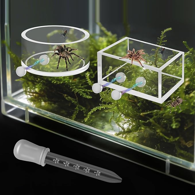 Windspeed 2+1P 1.8 inch Mini Jumping Spider Feeding Dish Magnet Tarantula Water Bowl for Spider Feeder Water Dish for Tarantula Tank Enclosure Accessories, with A Dropper (Square and Round)