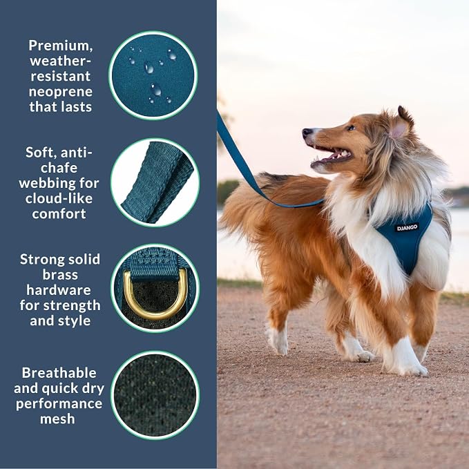 Adventure Dog Harness - Stylish and Durable Medium Dog Harness for Outdoor Adventures and Everyday Wear - Indigo Blue Neoprene Adjustable Harness for Dogs with Reflective Piping, Brass D-Ring