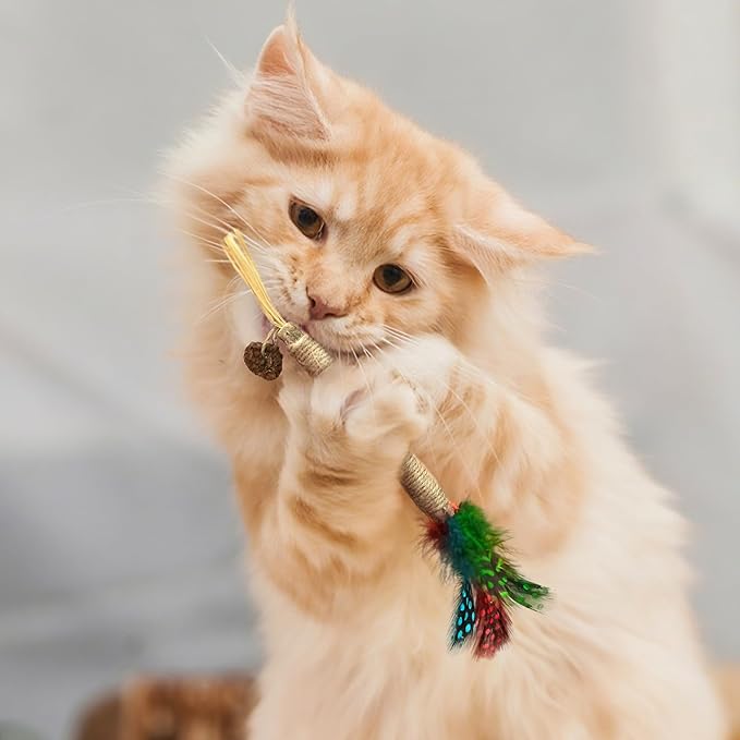 Quacc 4 PCS Silvervine Chew Sticks Natural Silver Vine Sticks Cat Dental Treat Toy for Teeth Cleaning Calm Cat Anxiety Stress