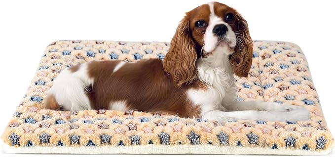 Mora Pets Dog Crate Pad Bed Ultra Soft Pet Mat Star Print Brown 23 x18 Inch | Washable Crate Mat for Small Medium Large Dogs, Reversible Fleece Dog Crate Kennel Mat Flat Cat Bed Liner