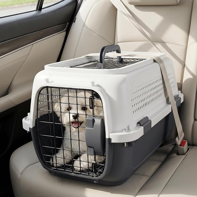 Magshion 22 Inch Hard-Sided Dog Cat Carrier, Grey | Top&Front Door Access, Plastic Dog Kennel for Traveling, Durable Handle, Ventilation, Detachable Pet Bowl, For Pet Up 26 lbs