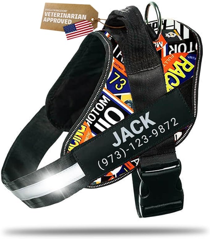 Personalized Dog Harness with Custom Name Patches, Adjustable Reflective No Choke Dog Vest with Handle for Medium Sized Dog, Motorsport, M