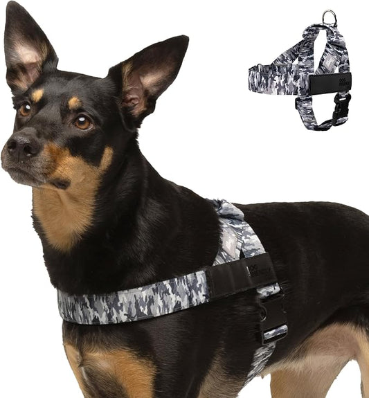 Dog Friendly Co. Dog Harness for Medium Sized Dogs (Grey Camo, Medium) | One Click Buckle, Chafe Resistant Webbing, Adjustable Neck & Chest, and Heavy Duty D-Ring, Sturdy Comfortable and Easy to Use