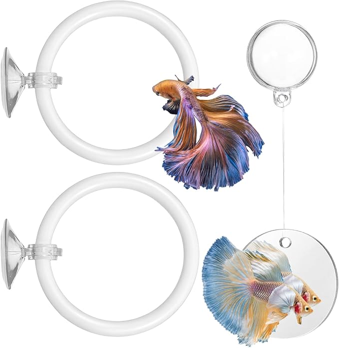 Molain Betta Fish Enrichment Toys, Betta Fish Tank Accessories 2 Training Rings 1 Mirror with Floating Ball Plastic Aquarium Enrichment Toys Set for Fishes Exercise Mental Stimulation