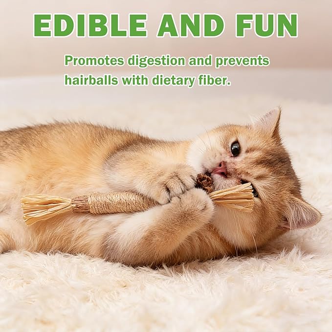 [10 Pack] Silvervine Sticks for Cats, Natural Chew Stick for Dental Care Teeth Cleaning, Cat nip Chew Rope Toys for Bored Indoor Kittens, Catmint Silvervine Blend Toys