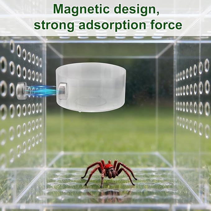 6pcs Jumping Spider Feeding Dish Set, Includes 2 Magnetic Water Bowl Tray 2 Brushes 1 Reptile Feeding Tongs & 1 Dropper Jumping Spider Enclosure Accessories Kit