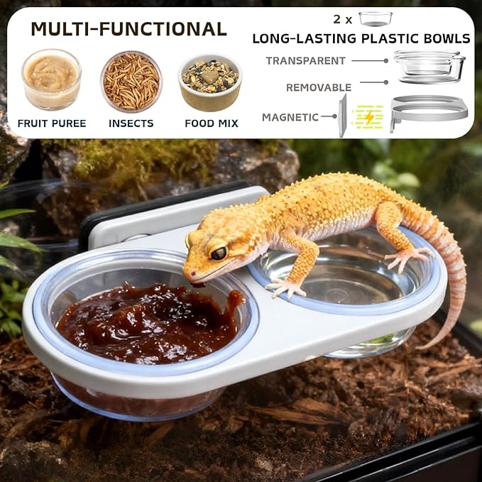 Magnetic Reptile Feeding Ledge with 2 Pack Plastic Bowls Food Feeder Water Dish for Crested Gecko Dwarf Hamster(Gray, Magnetic-Mounted)